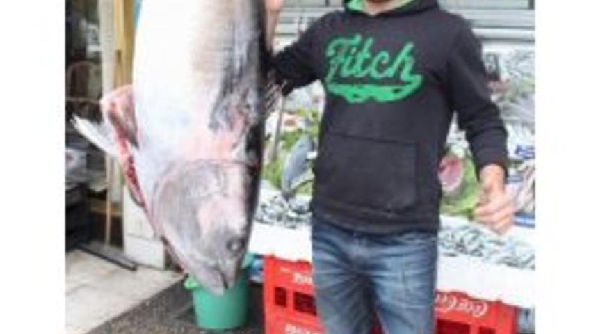 Manisa&rsquo;da Satışa &Ccedil;ıkarılan Orkinos İlgi Odağı Oldu