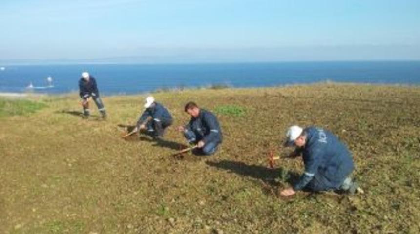 Engelli İş&ccedil;iler 2 Bin Fidan Dikti