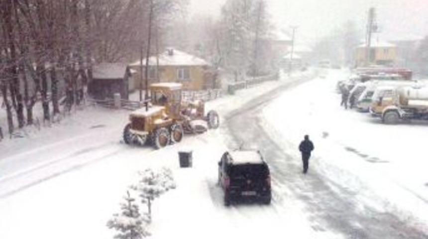 Ordu Beyaza B&uuml;r&uuml;nd&uuml;