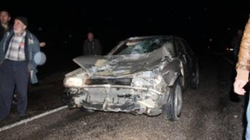 Otomobil Yılkı Atlarına &Ccedil;arptı: 1 Yaralı