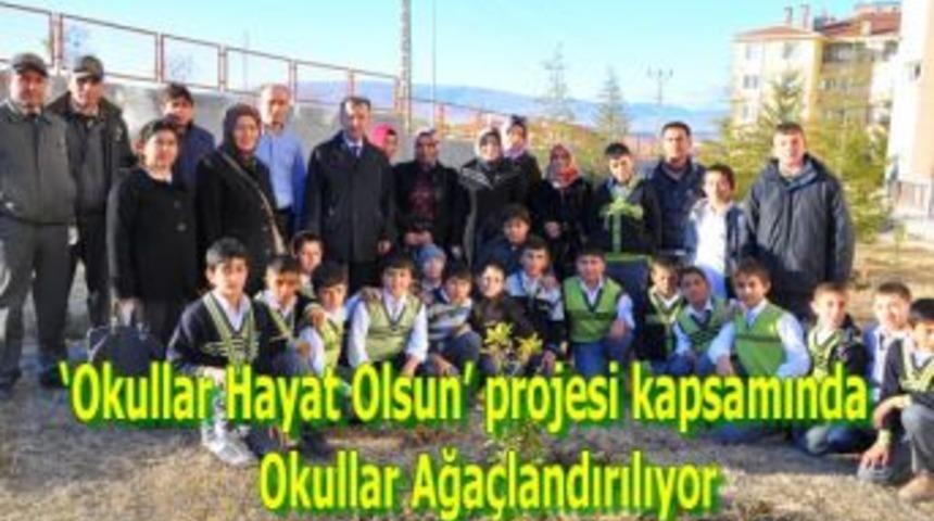 Okullar Hayat Olsun&rsquo; projesi kapsamında okullar ağa&ccedil;landırılıyor
