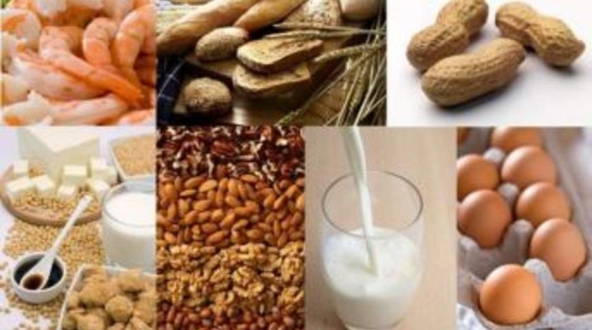 Gıda Alerjisi Astım Nedeni