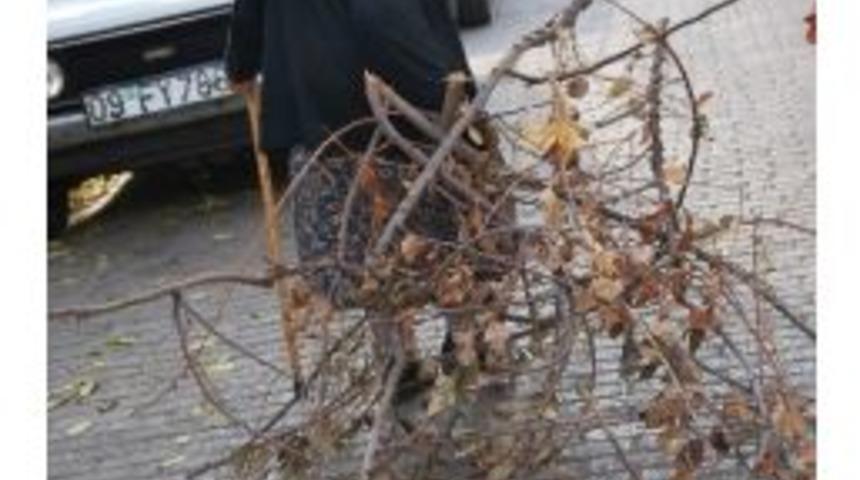 Emirzade Nine&rsquo;nin Yakacak Telaşı