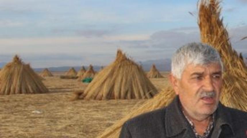 Ekmeklerini Bataklıktan Kazanıyorlar