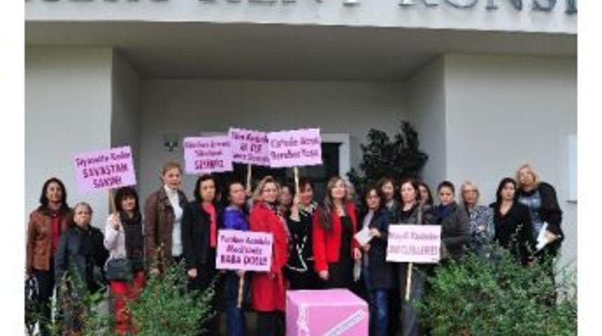 Kent Konseyi Kadın Meclisi&rsquo;nden Pembe Renkli Se&ccedil;im Sandığı