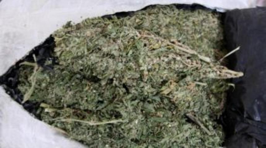 Amasya'da Uyuşturucu Operasyonu