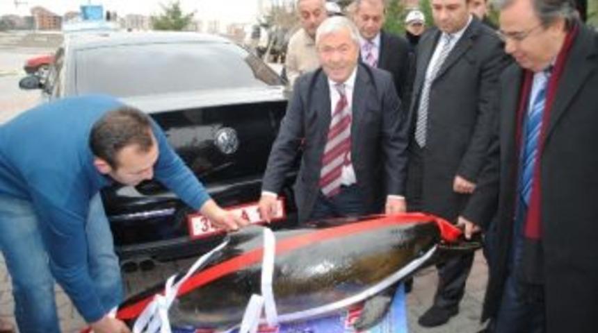 Kaymakamın Makam Aracından &lsquo;yunus&rsquo; &Ccedil;ıktı