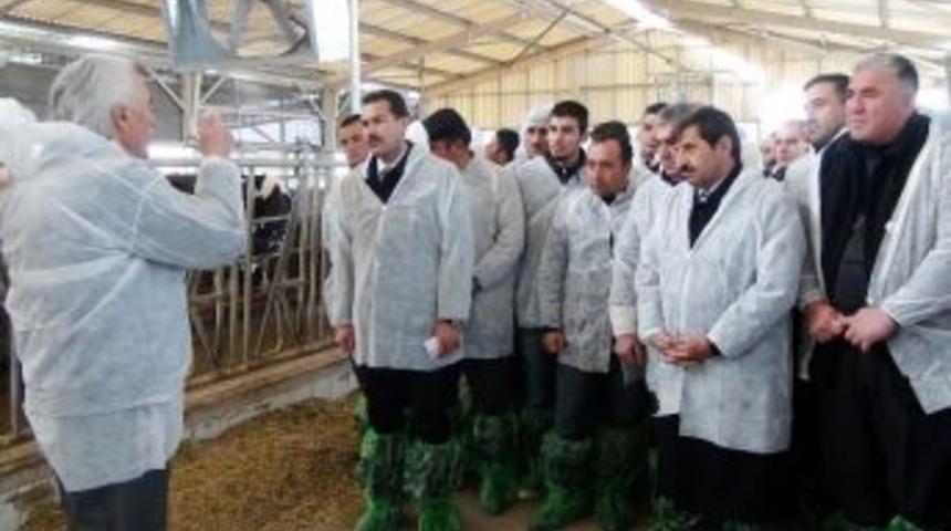 Aksaray'da &Uuml;reticilere Uygulamalı S&uuml;t Eğitimi