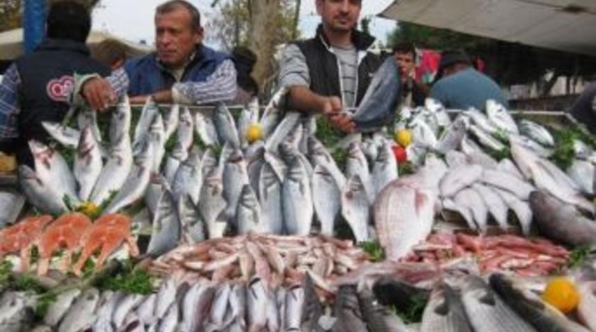 &Ouml;demiş&rsquo;te Balığa İlgi