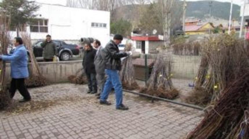 Tarım Ve Hayvancılık M&uuml;d&uuml;rl&uuml;ğ&uuml; Yarı Bedelli Meyve Bah&ccedil;esi Kuruyor