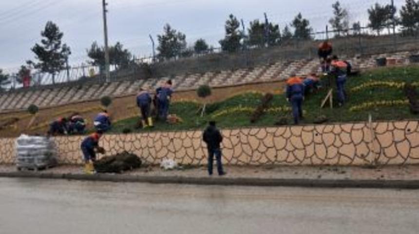 Kastamonu Daday Yolunda Örnek Peyzaj Çalışması