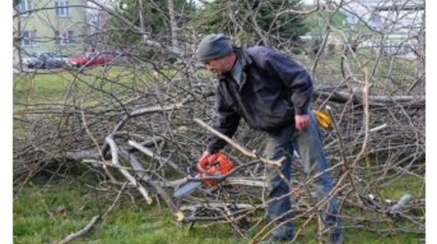 Kurumuş Ağa&ccedil; Ve Dalları Yakacak Oluyor