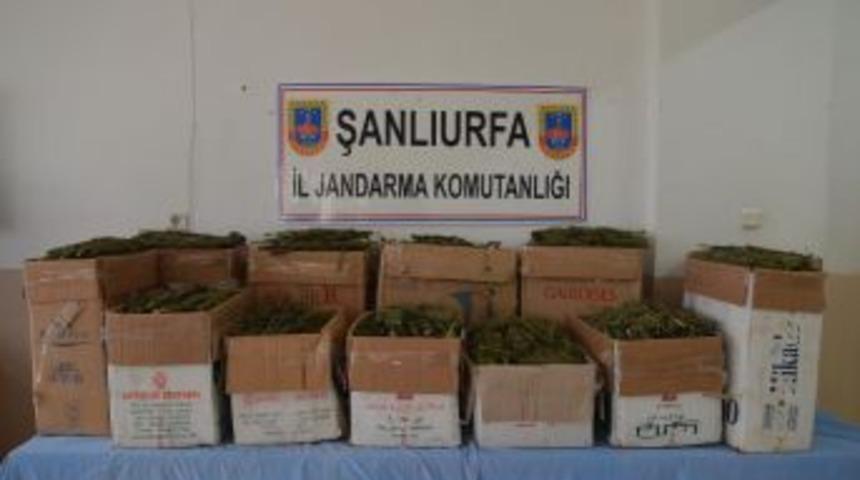 Şanlıurfa&rsquo;da 84 Kilogram Uyuşturucu Ele Ge&ccedil;irildi