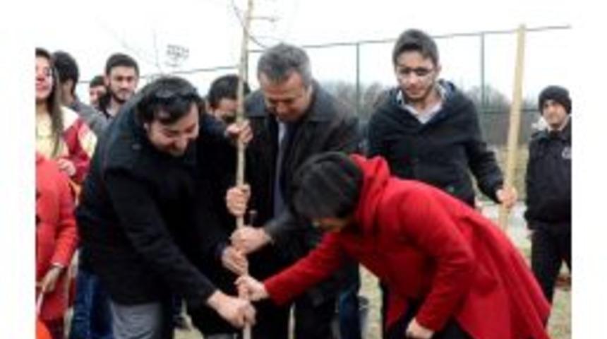 D&uuml;nya Engelliler G&uuml;n&uuml;&rsquo;nde Ağa&ccedil; Diktiler