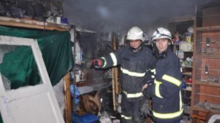 Depo Yangınında Kanaryalar Telef Oldu