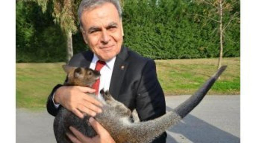 Adını &ldquo;şanslı&rdquo; Koydu