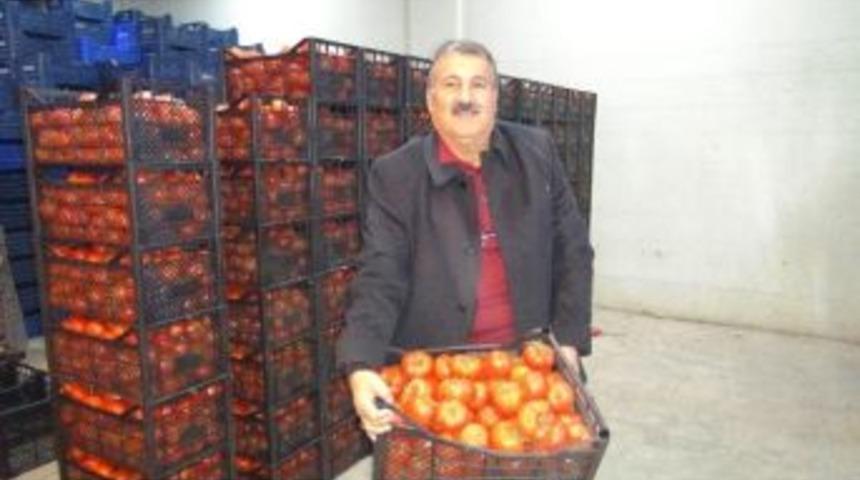 (&ouml;zel Haber) Suriye Ve Irak&rsquo;a Domates İhracatı Başladı