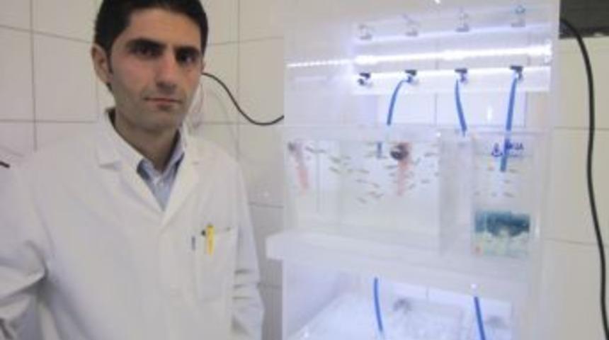 Zebra Balığı A&Uuml; Su &Uuml;r&uuml;nleri Fak&uuml;ltesi&rsquo;nde &Uuml;retiliyor