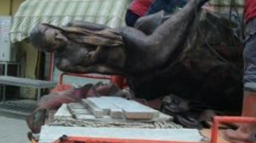 Fırtına Deniz Kızını Kıyıya S&uuml;r&uuml;kledi