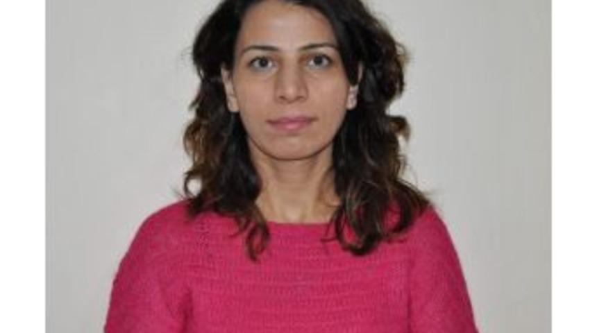 İş Ve Meslek Danışmanı, İş İstiyor