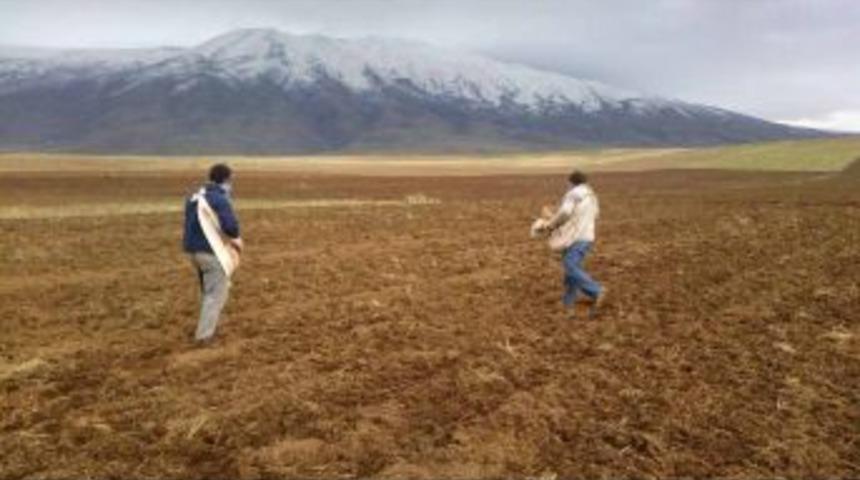 Bitlis&rsquo;te Kış &Ouml;ncesi Son Buğday Ekimleri Yapılıyor