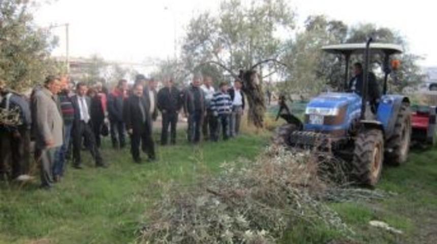 Ayvacık'ta Tarla G&uuml;n&uuml;