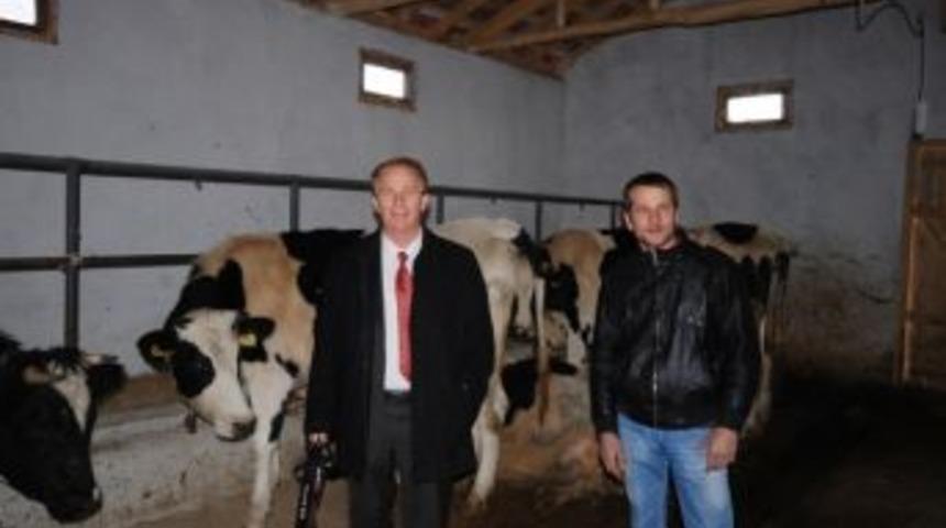 İvrindi Boz&ouml;ren K&ouml;y&uuml;&rsquo;nde Hayvancılığa Orman Desteği