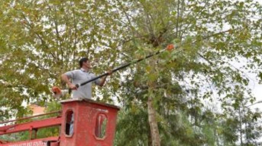 Konyaaltı&rsquo;nda Sokak Ve Parklara Kış Bakımı