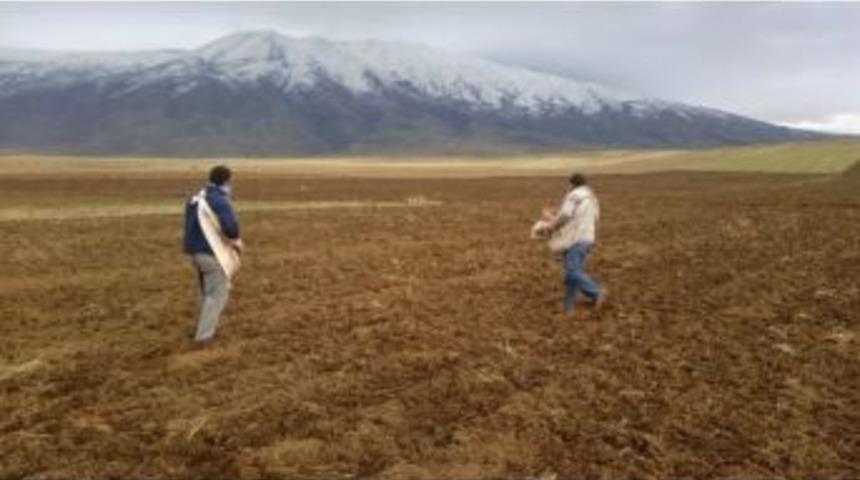 Bitlis&rsquo;te Kış &Ouml;ncesi Buğday Ekimi Yapılıyor