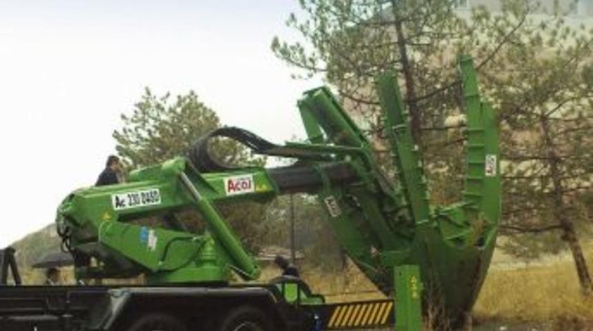 Ağa&ccedil;ları K&ouml;k&uuml;nden S&ouml;kmede Bir İlk