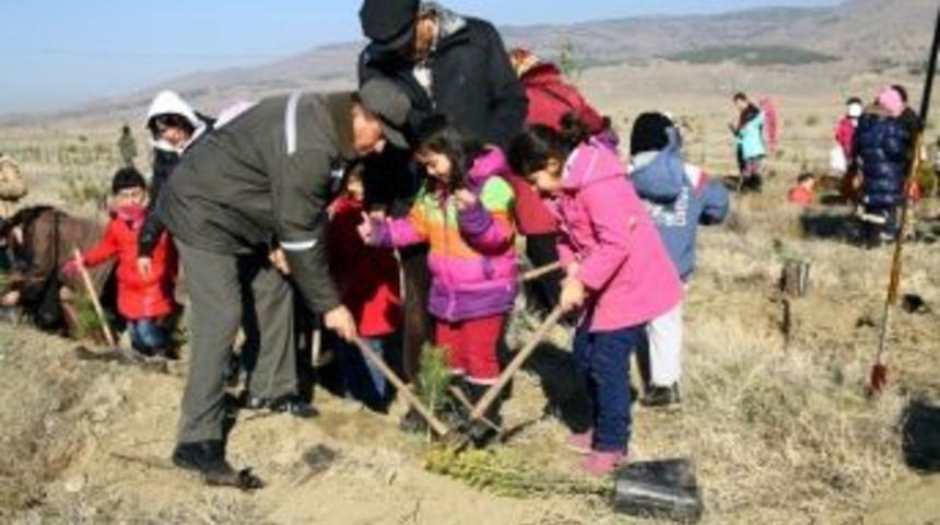 450 Öğrenci 2 Bin Fidanı Toprakla Buluşturdu