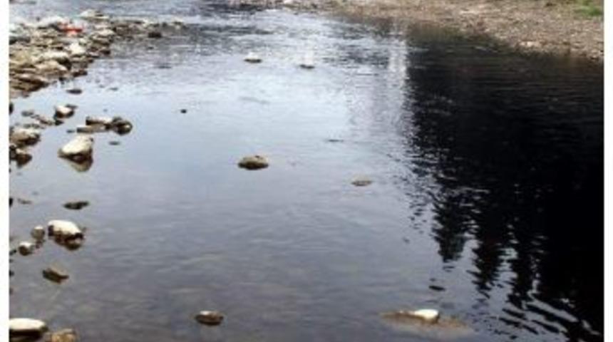 Zeytin Karasuyuna Umut Işığı