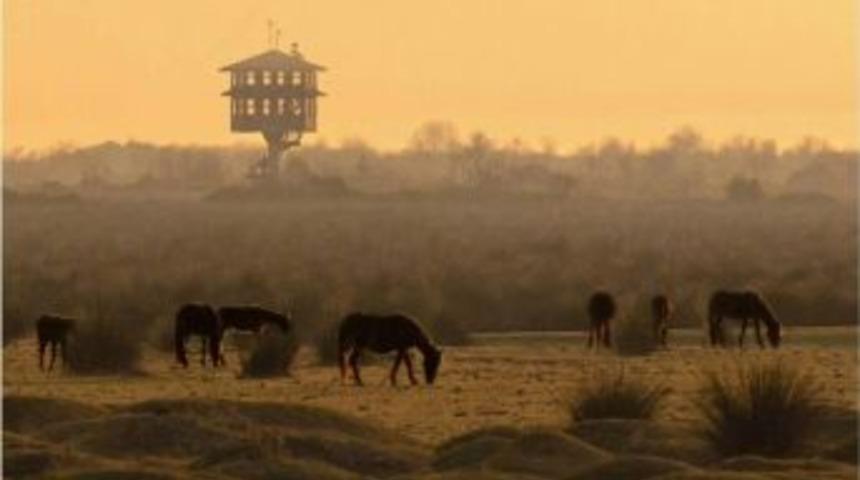 Samsun Ulusal Fotoğraf Yarışması Sonu&ccedil;landı