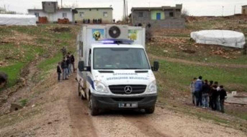 (&ouml;zel Haber) Yaralı K&ouml;peği Kurtarmak İ&ccedil;in Jandarma Ve Belediye Seferber Oldu