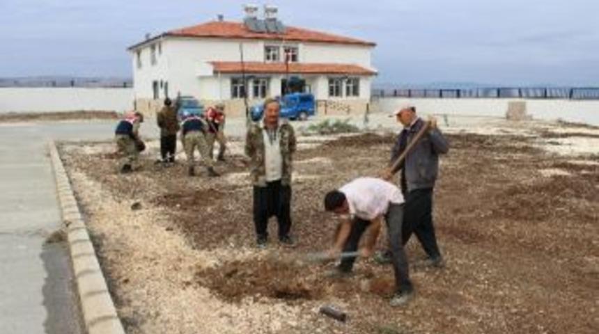 Mehmet&ccedil;ik, K&ouml;y Okuluna Fidan Dikti