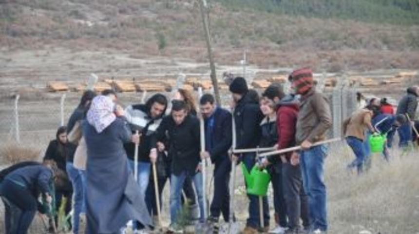 Emet Meslek Y&uuml;ksekokulu'na Fidan