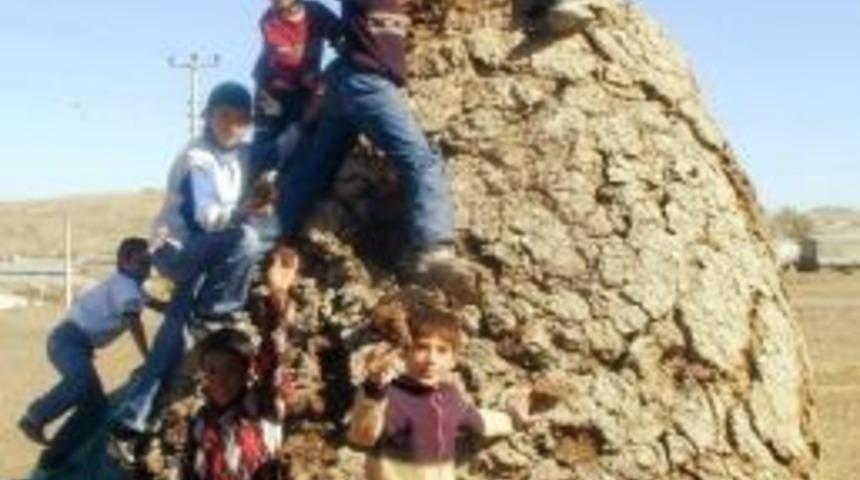 Kışlık Yakacakları Tezek...