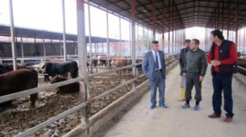 Selvi: &ldquo;k&uuml;&ccedil;&uuml;k İşletmeler Birleşerek B&uuml;y&uuml;k İşletmeler Kurmalı&rdquo;