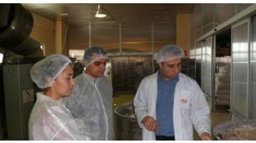 Nevşehir Tarım Müdürlüğü Ekipleri İstanbul Halk Ekmek Fabrikası'nı Gezdi