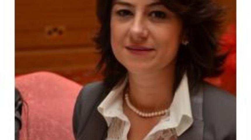 Cide Çalışma Gurubu Harekete Geçti