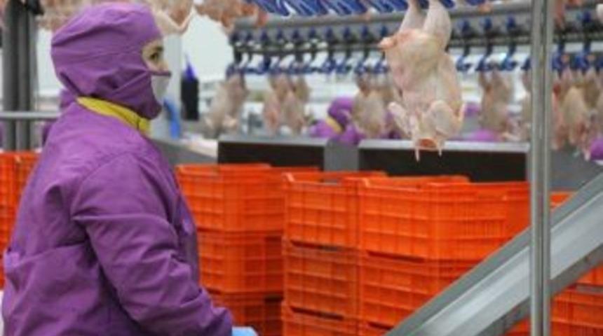 (&ouml;zel Haber) 2014 Yılında Avrupa T&uuml;rk Tavuğu Yiyecek