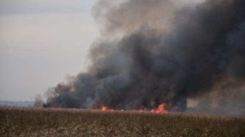 Kızılırmak Deltası'nda Sazlık Yangını