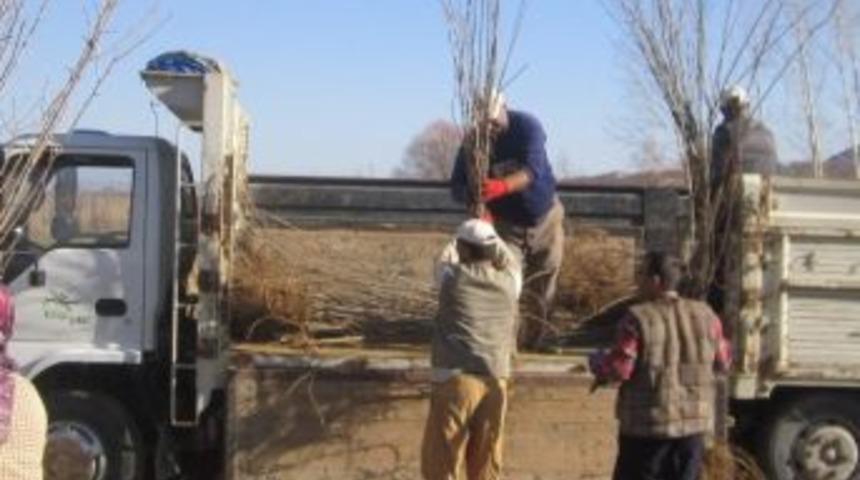 Seydişehir&rsquo;den Konya Şeker&rsquo;e 195 Bin Fidan