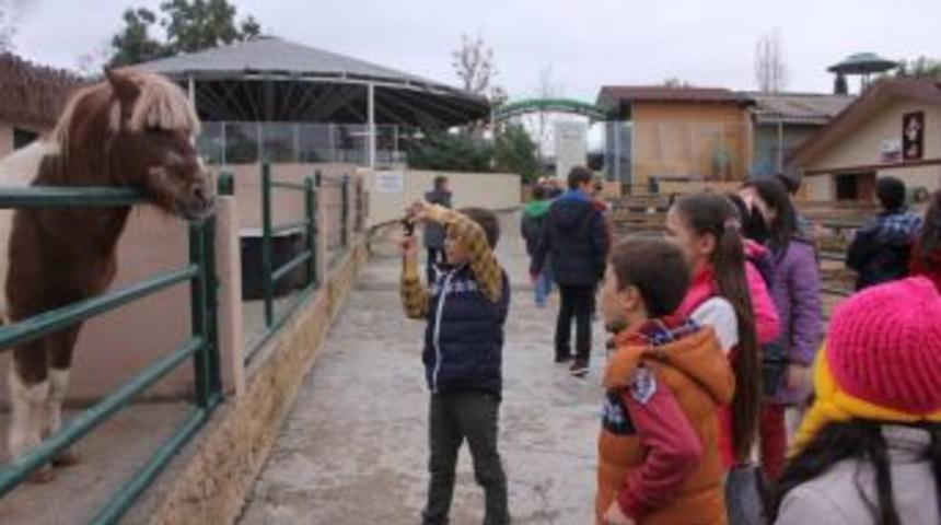Sakarya Fatih Koleji &Ouml;ğrencileri, Darıca Hayvanat Bah&ccedil;esi'ni Gezdi