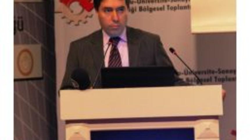 Mardin&rsquo;de Kamu-&Uuml;niversite-Sanayi İşbirliği B&ouml;lgesel Toplantısı Yapıldı