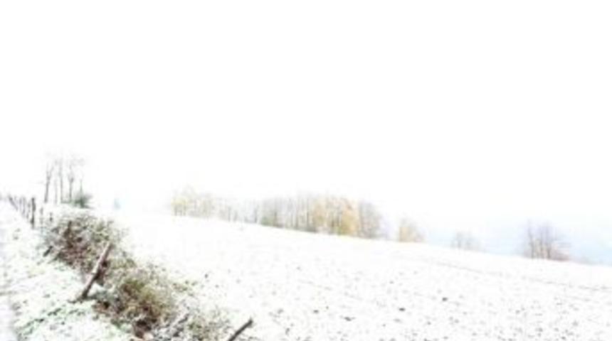 Sakarya Tepelerine Yılın İlk Karı Yağdı