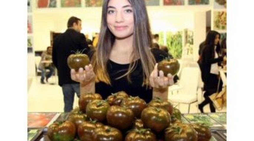 Growtech Eurasia 2013 Tarım Fuarı Sona Erdi