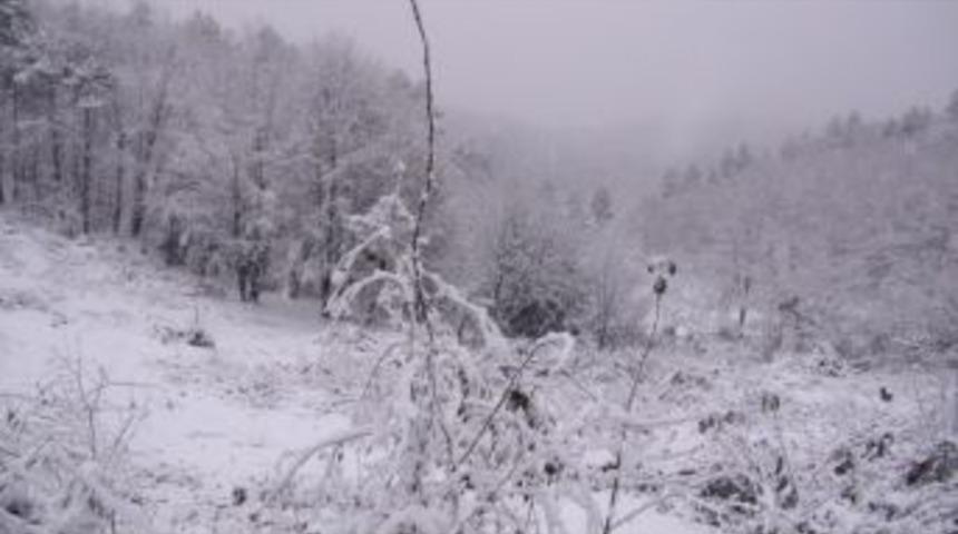 Zonguldak'ta Ilk Kar Sevinci