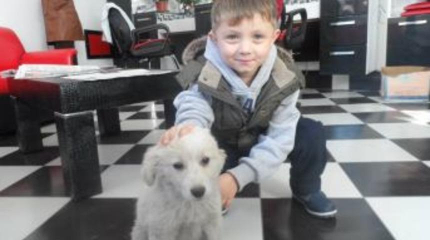 K&uuml;&ccedil;&uuml;k Alemdar Kaybolan k&ouml;peğine kavuştu