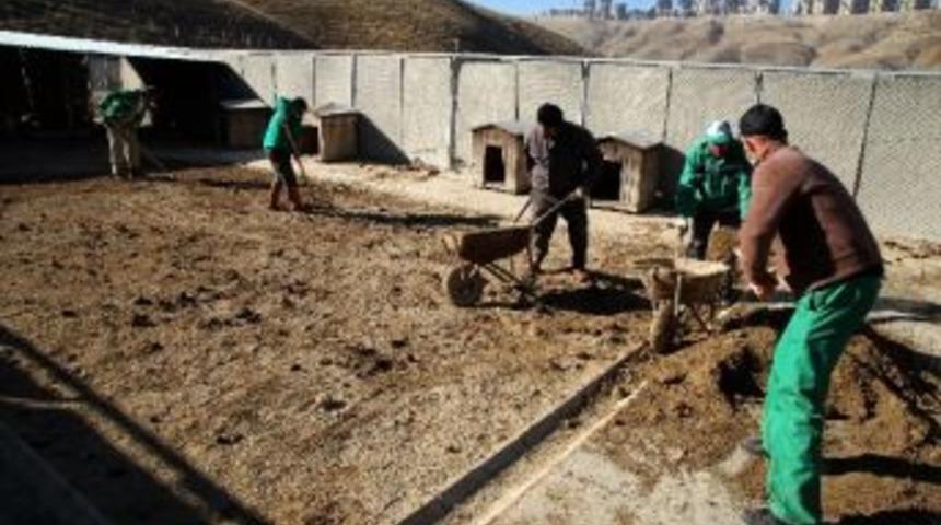 Barınakta Kış &Ouml;nlemleri